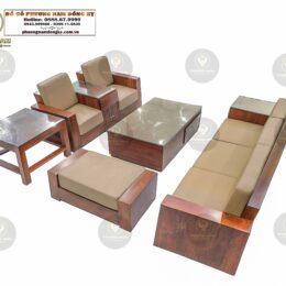 Bộ Bàn Ghế Sofa Đệm 5 Món | Mã SP: SFD5102